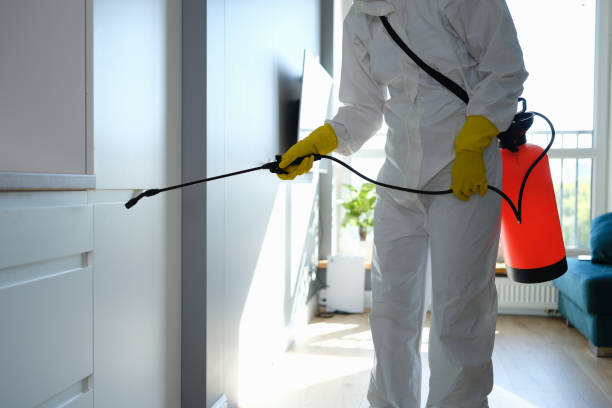 Best Home Mold Removal  in Richwood, NJ