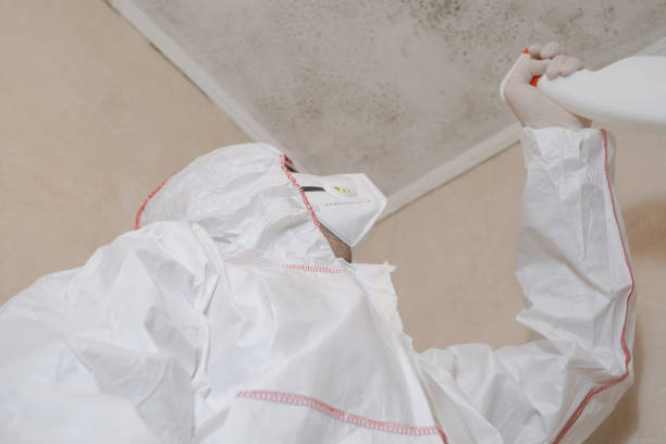 Mold Removal and Inspection in Richwood, NJ