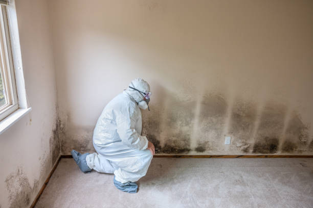 Best Crawl Space Mold Removal  in Richwood, NJ